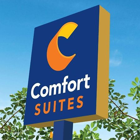 Comfort Suites Кловис Экстерьер фото